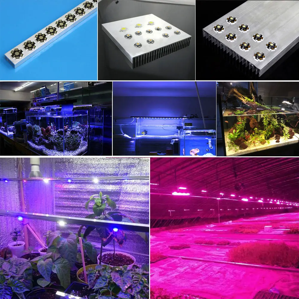 High Power LED COB Chip 1W 3W 5W Warm Cool White Red Blue Green Yellow Full Spectrum 660nm 440nm For Grow Light Aquarium Lamps - Image 6