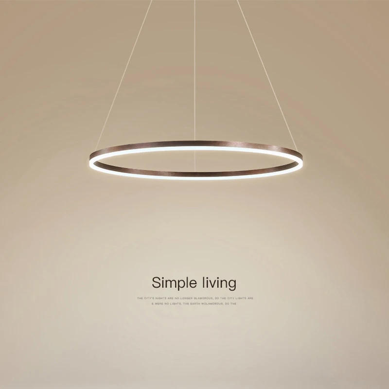 Ceiling chandelier LED modern chandelier dining room light Nordic designer single head round minimalist living room ring chandel