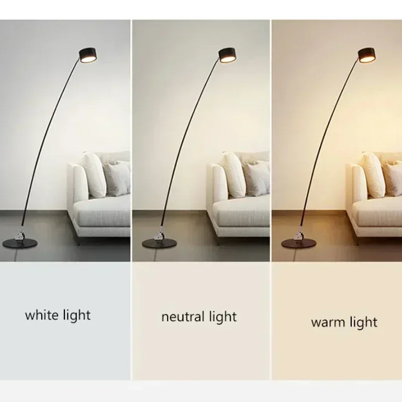Nordic Home Decorations Floor Lamp Black Long Pole Salon Led Lights Living Corner Sofa Bedroom Bedside Standing Fishing Light - Image 3